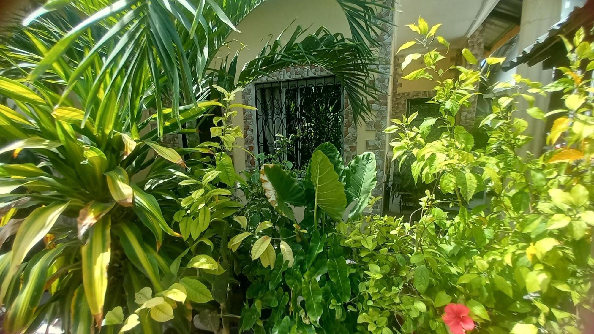 Mount Zion Guest House, Mtwapa Mtomondoni Mombasa Exterior foto